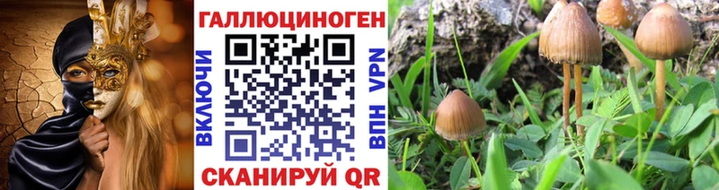 Псилоцибиновые грибы мицелий  Мариинск 