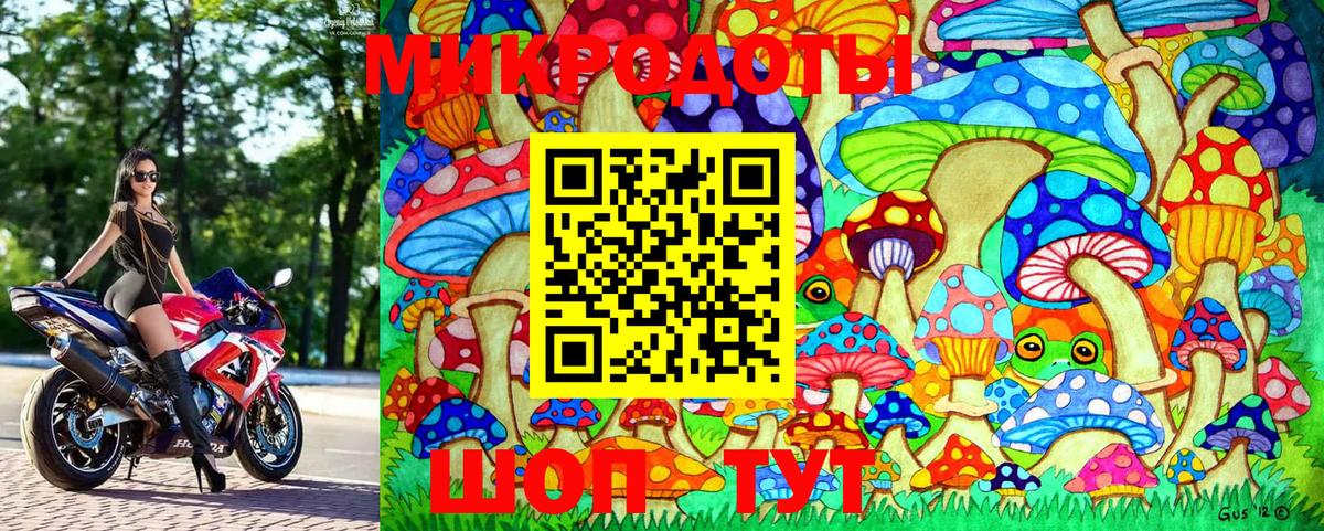 купить  цена  Мариинск  Галлюциногенные грибы мицелий  Псилоцибиновые грибы мухоморы 