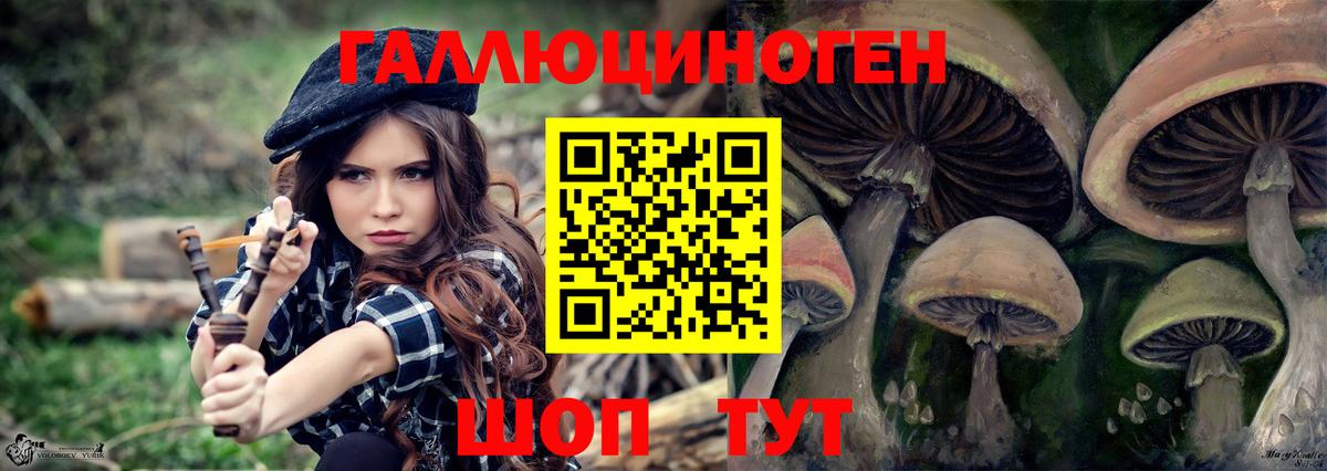 Мариинск  Псилоцибиновые грибы мухоморы  Вход с VPN 
